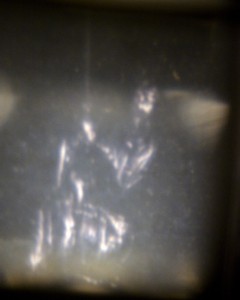 Foto eines epidiaskopisch verzerrten Ritterbildes von EVA