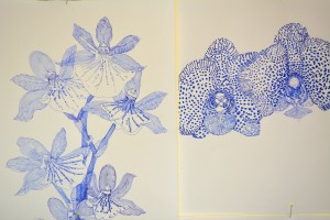 Orchideen, Detail, Schwarzer Schimmel 3