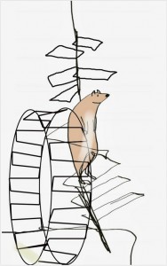 Zeichnung von Durbahn, Hamster entflieht seinem Rad.