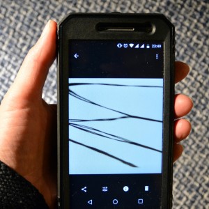 EVA zeigt auf ihrem Handy das Foto eines an Tuschezeichnungen erinnernden Schattens.
