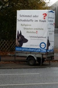 Foto einer Werbung für Schimmelbekämpfung mittels eines Spürhundes