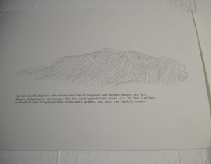 Zeichnung eines haarigen, hundeähnlichen Wesens von Jenni Tietze. Versehen miteinem Text zur Funktion des Schnurrbarts beim Mann.