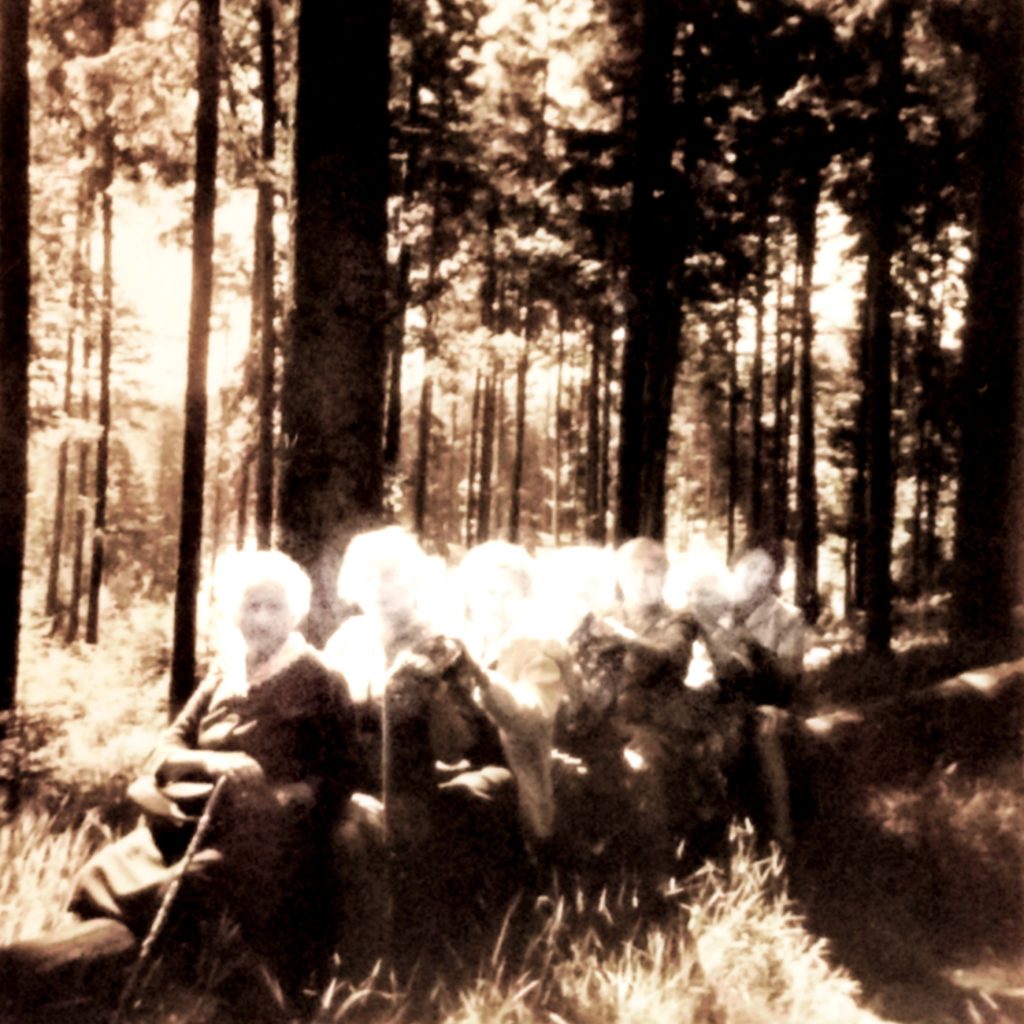 Bearbeitetes Familienfoto von einer Wandergruppe, die im Wald rittlings auf einem gefällten Baumstamm sitzt. Von EVA 2019