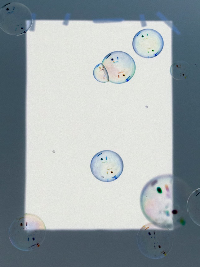 Foto von Seifenblasen von Sabine Höpfner 2020
