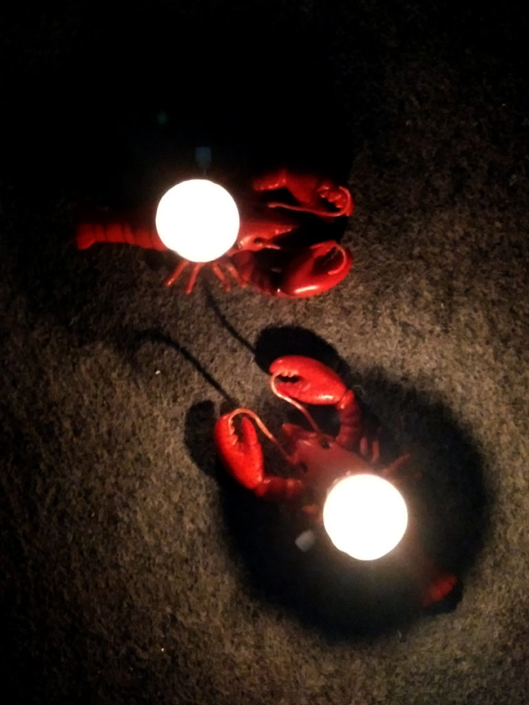 EVA zeigt Aufziehkrebse mit brennenden Kerzen auf dem Plastikrücken