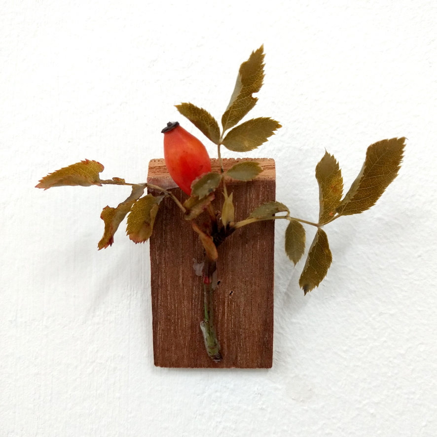 Ein in Wachs getauchter Hagebuttenzweig auf einem Stück Abfallholz, Objekt aus der Reihe Vassallenstücke von der Hamburger Künstlerin EVA.
