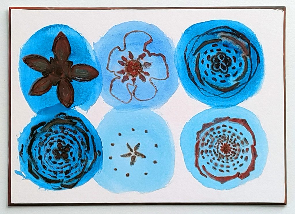 Blau-braune Zeichnung zur Frucht- und Blütenmorhologie von Rosenartigen.