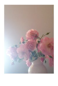 Foto einer weißen Vase, gefüllt mit rosa Rosen.