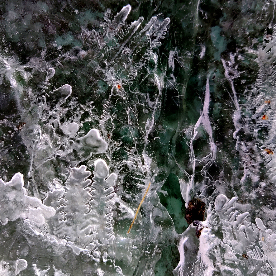 Eiskristalle in einer Regentonne, Foto von EVA.
